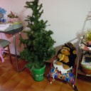 Prognozy zakupowe na święta