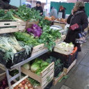 Kalendarz eko-targow w Toskanii