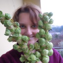 Eko skrzyneczka z warzywami