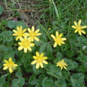 Odchudzanie na ekranie, cz.4