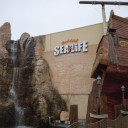 Moja Toskania goscinnie w Sealife