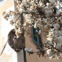 Poniedzialkowa Lukka