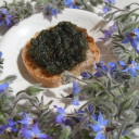 Dzem z ogorecznika lekarskiego i jablek