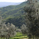 Otwarta ksiega wiedzy