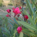 Dla tych co dopiero na wakacje