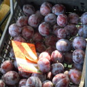 Owocowo na eko targu