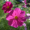 W górach trochę chłodniej – Ponte Sospeso