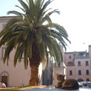 Letnie leniuchowanie