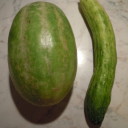 Ogórek z Apulii zawitał do Toskanii