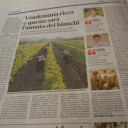 Toskańskie wino 2013