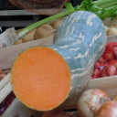 Co dziś ciekawego na targu?