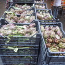 Karczochy ile kto chce