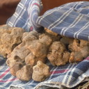 Trufle w San Miniato we wspaniałym towarzystwie