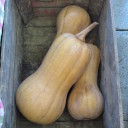 Warzywa, warzywa i po warzywach