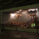 W Katedrze chyba powtórka