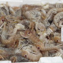 Ryby na targu w Pistoi