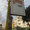 Dwa rodzaje kanarów