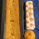 Torta vegana di polenta all’albococca