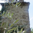 Calbi – film z toskańskiego miasteczka widma