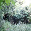 Buiano/Bugnano, miasto widmo w gminie Bagni di Lucca – filmy