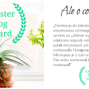 Liebster Blog Award – wyróżnienie dla Mojej Toskanii