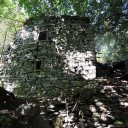 Porcilecchio – miasto widmo wchłonięte przez las