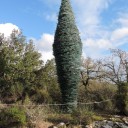 Filmy z Parku rzeźb Chianti w La Fornace, Pievasciata
