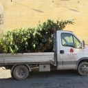 Wyjazd dekoracji świątecznych z Pistoi