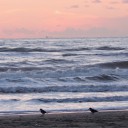 Marina di Pietrasanta w styczniu