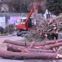 Plac Carmine, Pistoia