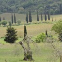 Kobieta w wewnętrznej podróży w Toskanii