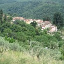 Zbieramy czereśnie w Castagno