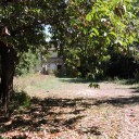 Opuszczony klasztor w Vinacciano i pozytywna energia