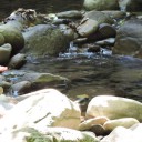 W poszukiwaniu cienia