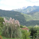 Szczęście – Włochy pięćdziesiąte