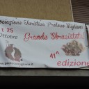 Migliana i kasztany – 41 edycja