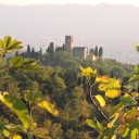 Kasztany w Lupicciano