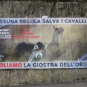 Apel przeciwko Giostra dell’Orso