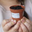 Szklarnia na tarasie