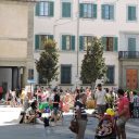 Przy Prowincji też zielono