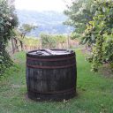 Degustacje zawsze mile widziane