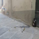 Nie tak wyobrażam sobie stolicę kultury