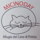 Micio Day w schronisku
