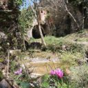 Opuszczone termy San Michele alle Formiche