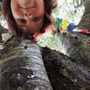 Case Cucciani i drzewo z oczami Tiziano Terzani