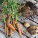 Warzywa z własnego „ogródka”