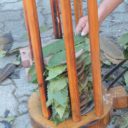 Święto pieczonego kasztana w Montagnana