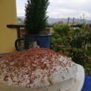 Tort bezglutenowy i bezjajeczny