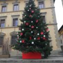 Choinka na głównym placu Pistoi