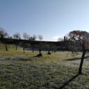 Opuszczone w mieście